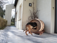 demonstration-by-ulysse-002